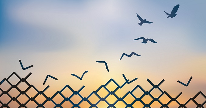 A sunset behind a fence, top of fence turns into birds flying into a blue sky.