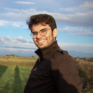 Un hombre en un campo junto a dos vacas.