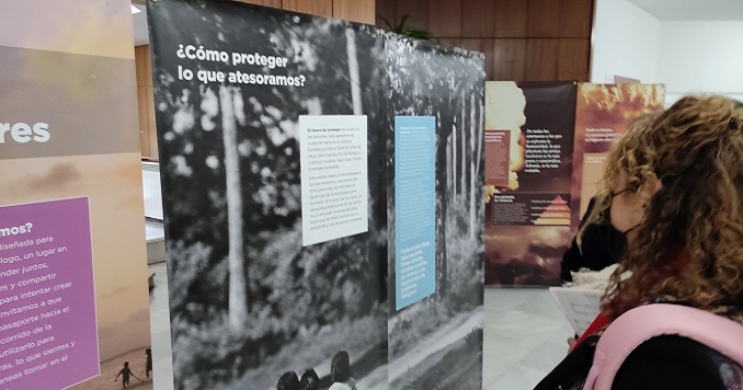 A woman looking at an exhibition panel